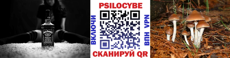 Галлюциногенные грибы ЛСД  Кадников 